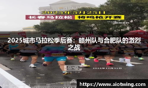 2025城市马拉松季后赛：赣州队与合肥队的激烈之战