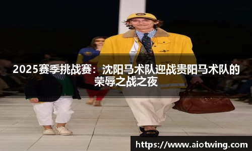 2025赛季挑战赛：沈阳马术队迎战贵阳马术队的荣辱之战之夜